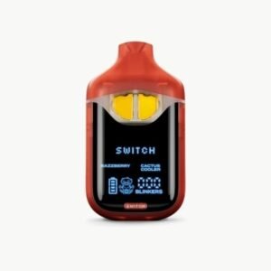 Boutiq | Cactus Cooler & Razzberry | Switch V4 All-in-One Disposable | 2g