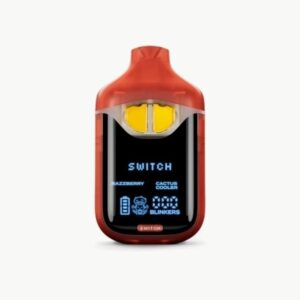 Boutiq | Cactus Cooler & Razzberry | Switch V4 All-in-One Disposable | 2g