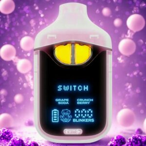 Boutiq | Crunch Berry x Grape Soda | Switch All-in-One Disposable | 2g