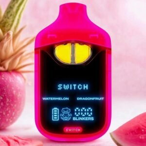 Boutiq | Dragonfruit x Watermelon | Switch All-in-One Disposable | 2g