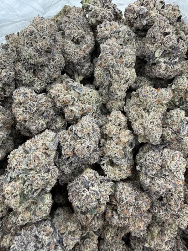 synced-black-trufflez-mnit4zla.webp