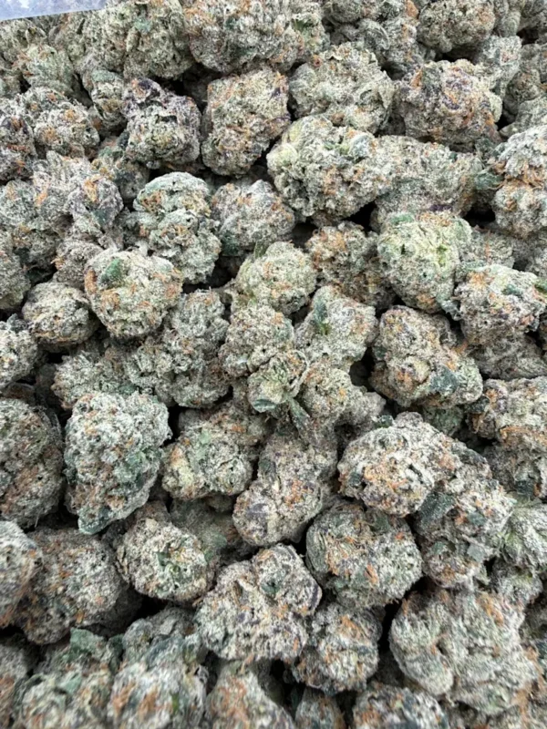 synced-candy-bomb-sm-mnit534o.webp