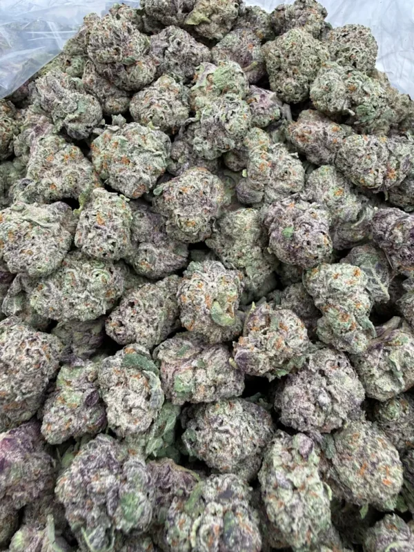 synced-lemon-barz-mnm7avz6.webp