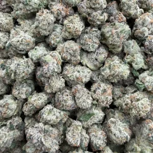 Purple Snapz sm - Image 1