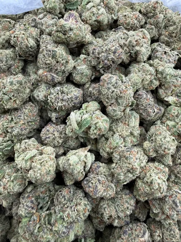 synced-rainbow-sherbert-mp417c0y.webp