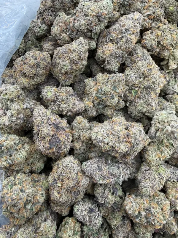synced-rainbow-skittlez-mnzub278.webp