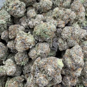 White Cherry Gelato - Image 1