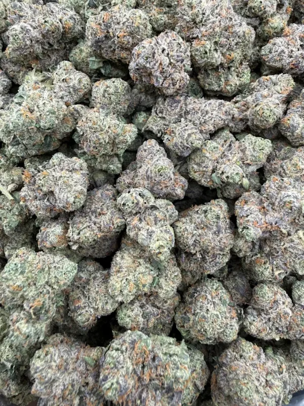 synced-zkittles-mnzuasm6.webp