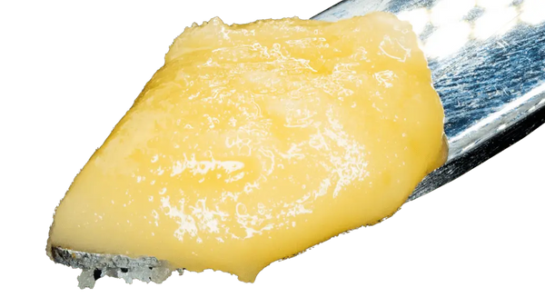 DSC01605_600x.png