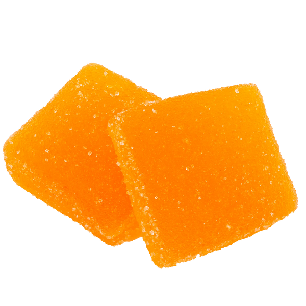 DSC022351_600x.png