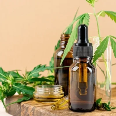 blog6 600x462 1.webp